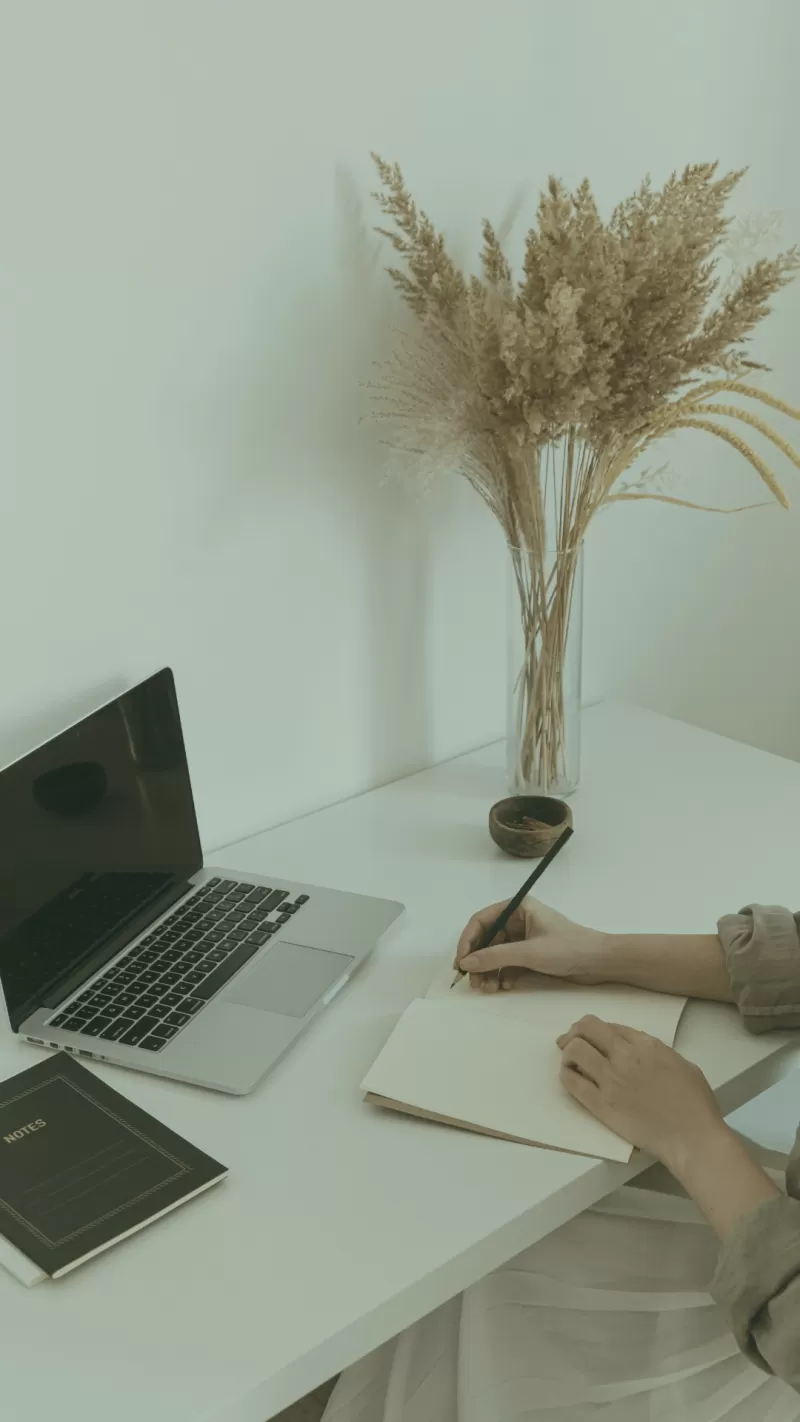 Writing & Translation