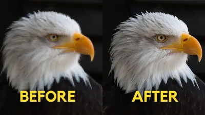 I will enhance, restore and upscale low quality images and photos
